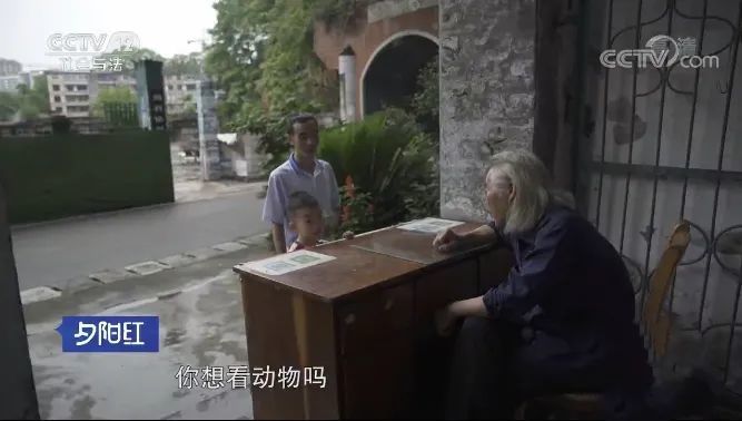 中国动物园排行_中国最“没存在感”的省会城市,景点排名第一居然是“动物园”(2)