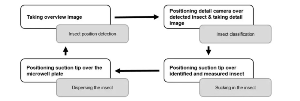 人工智能辅助科学家对昆虫等微小生物分类 准确度可达91 4 腾讯新闻