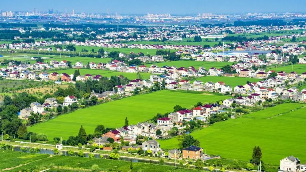 扬中新坝:曾经的"江心跳板",在一小镇内沉淀文化底色_腾讯新闻