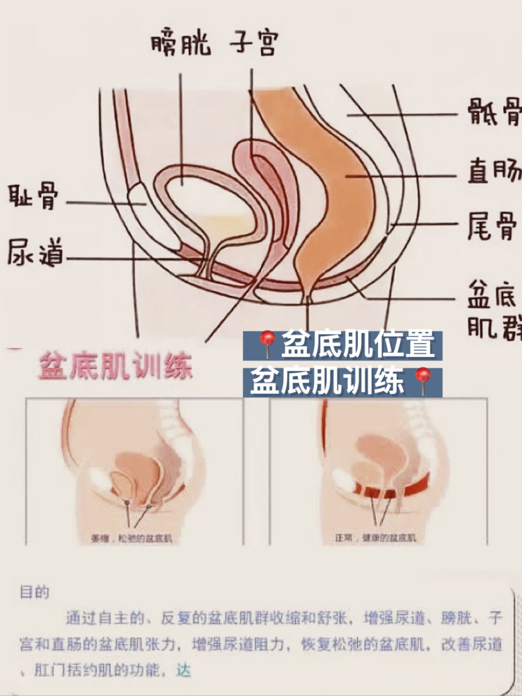 产后恢复|盆底肌恢复经验分享!