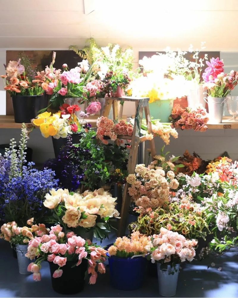 如何开花店(如何开花店进货渠道) - 0415花卉网