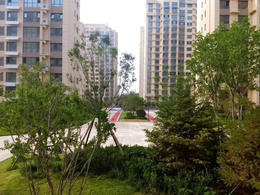 莱州市区现房即买即办证现在买还送10平方