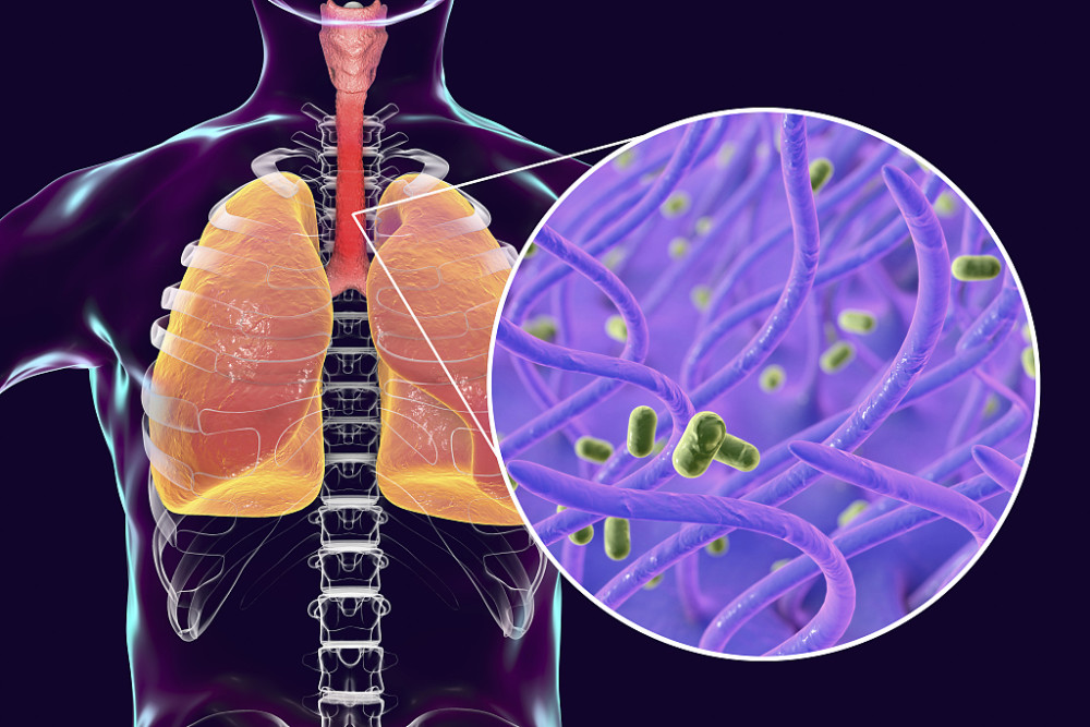 中美学者揭示神经与肠道之间的秘密 多维新闻 中国