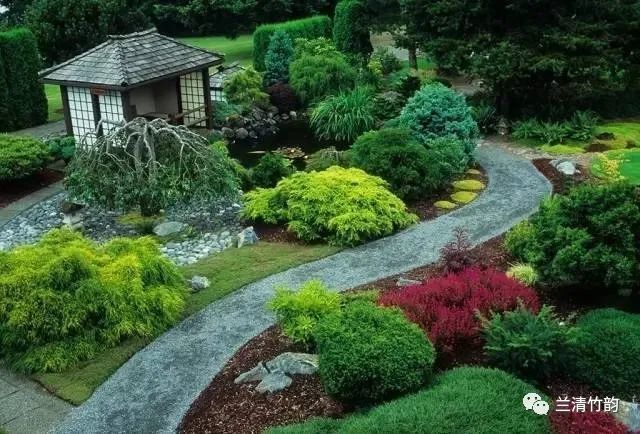 庭院深深种这些植物保你住宅好风水 腾讯新闻