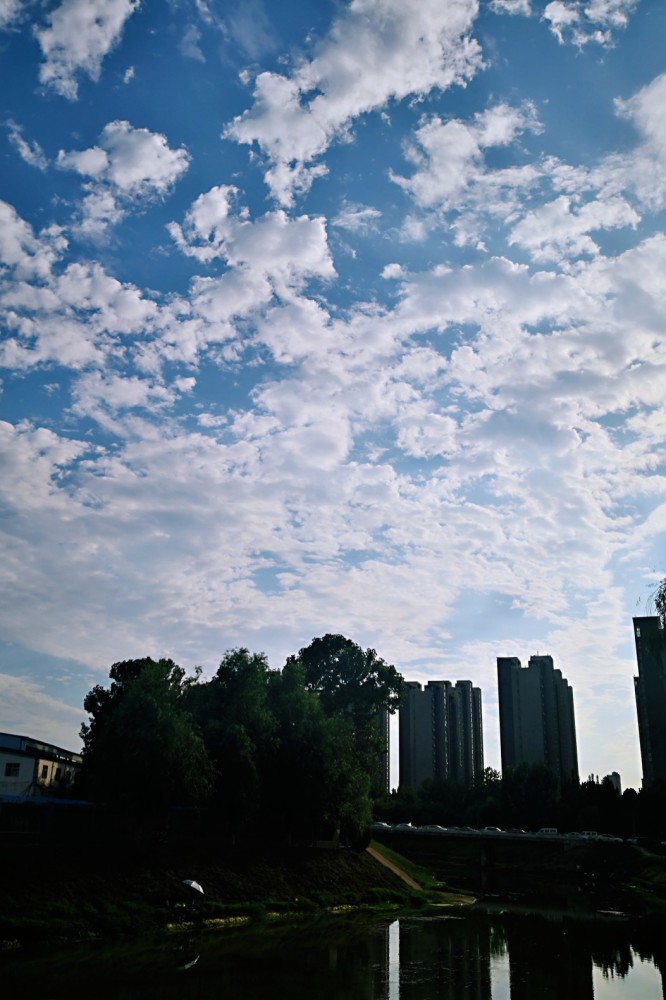 今天白天,郑州的天空美得让你忍不住睡前再看一眼