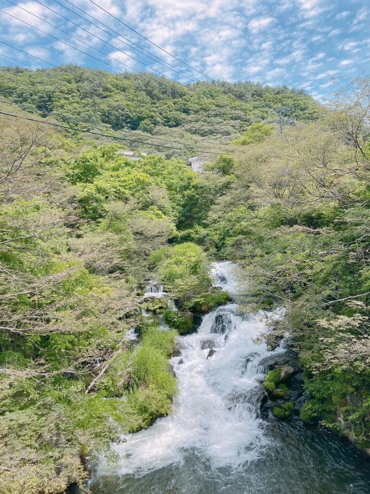 上野爱d美看错死活 藤泽里菜距离名誉头衔仅差一胜 全网搜