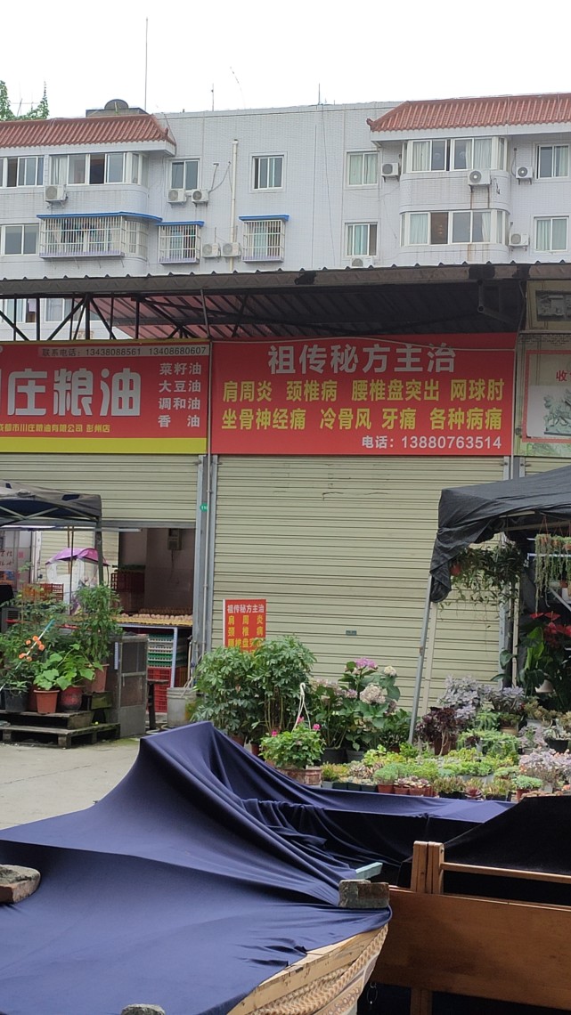 你相信这些中草药店铺吗