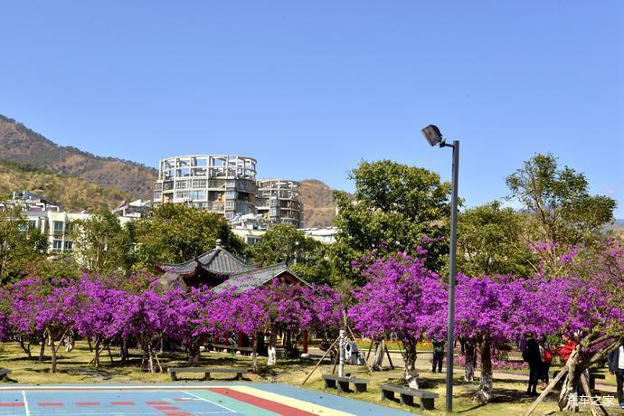 米易康养体验之旅——休闲米易城区滨河公园_腾讯新闻