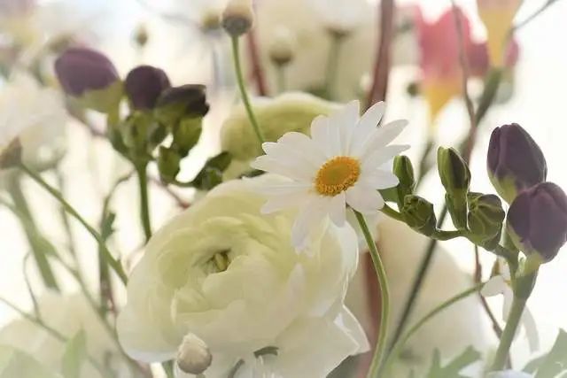 10月4日十二星座运势红榜前3名 白羊座运气正旺 做事都有好结果 热门话题 承留资讯网