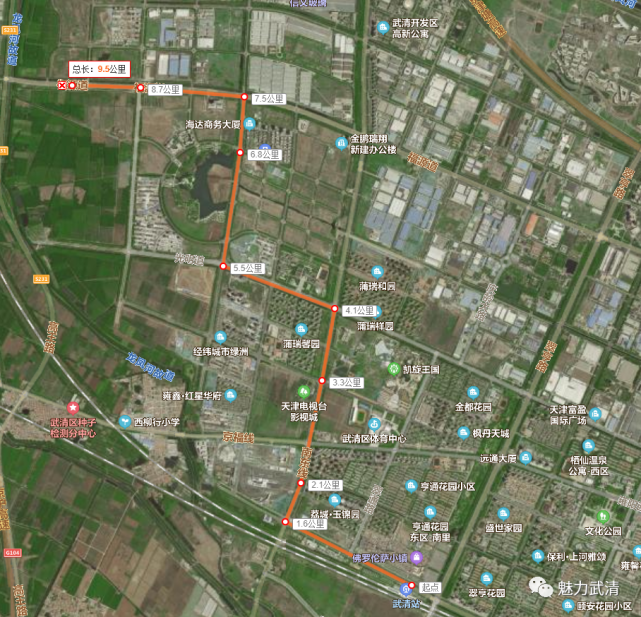 武清云巴1号线最新规划线路曝光