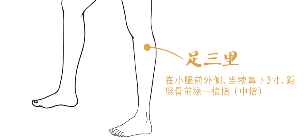 5,足三里穴足三里位于人体下肢膝关节外侧下四指宽处,即膝眼直下3寸.