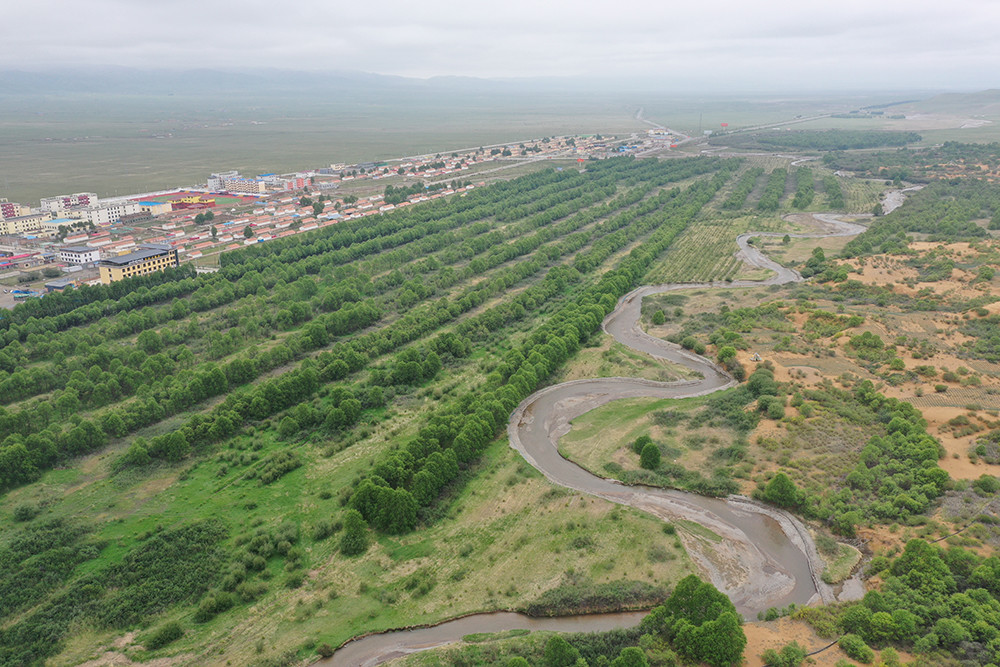 6月18日,我们来到位于海南藏族自治州贵南县森多镇完秀村的黄沙头沙漠