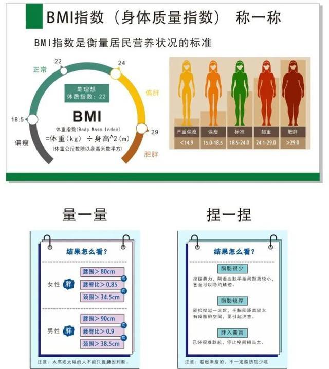 女性bmi指數多少是正常的如何做才能保持在正常範圍之內