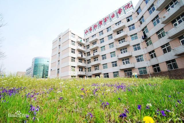 青岛3所优质高等职业院校,设多个特色专业课程|青岛|山东外贸职业学院