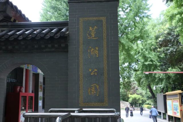 西安人家门口的公园,满湖的荷花惊艳整个夏天!|莲湖公园|西安|公园