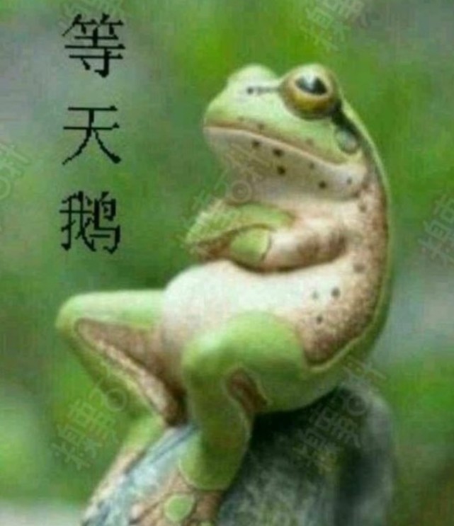 有一句话大家一定很熟悉 ,那就是癞蛤蟆想吃天鹅肉 .