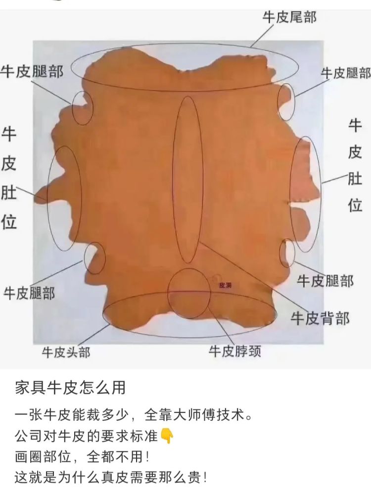 公众号名片 如图所示,一张牛皮,圈住部分,全部不要?