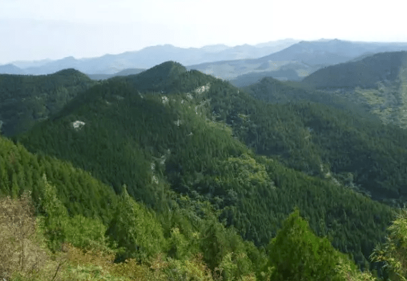 名剎,古樹,奇石,驚險是蟠龍山省級公園的四大獨具特色.