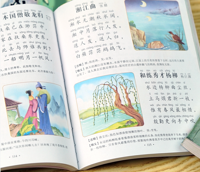 小神童李尚荣4岁识千字6岁上央视优质教育不靠砸钱