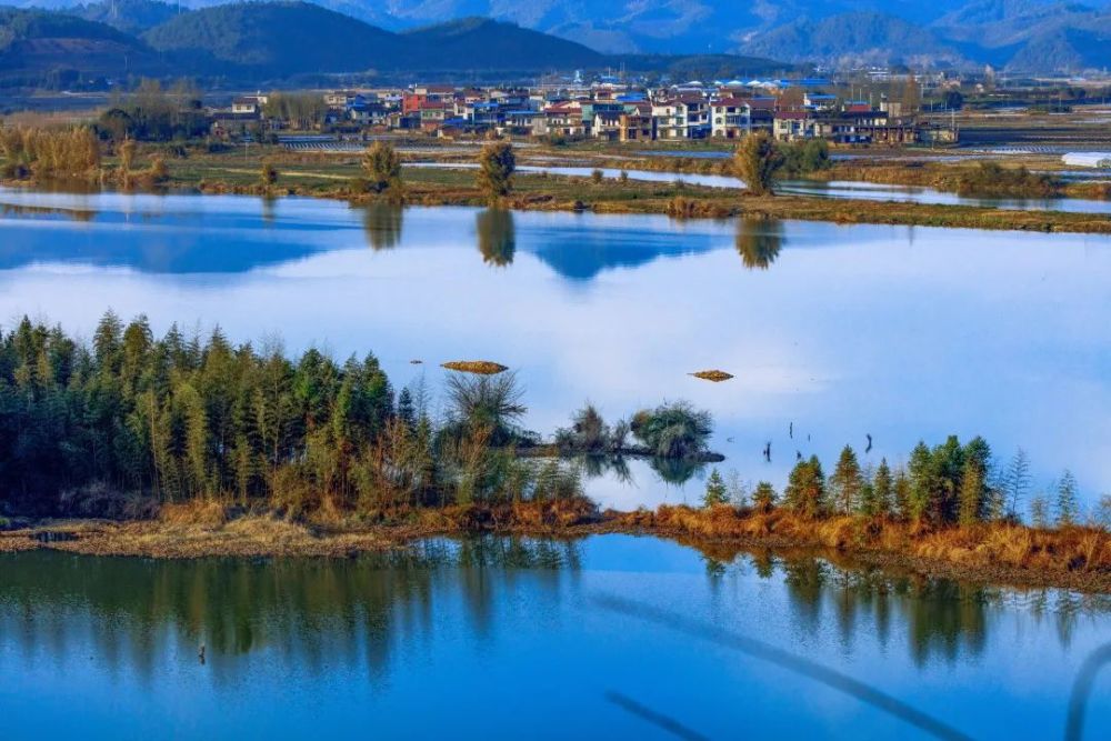 绿树浓荫,花开正好 进入夏季 邵武市卫闽镇花果风情小镇美不胜收