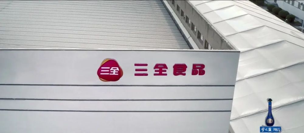 梦之蓝m6豫商好榜样丨三全食品陈泽民汤圆大王跨界融合出新彩