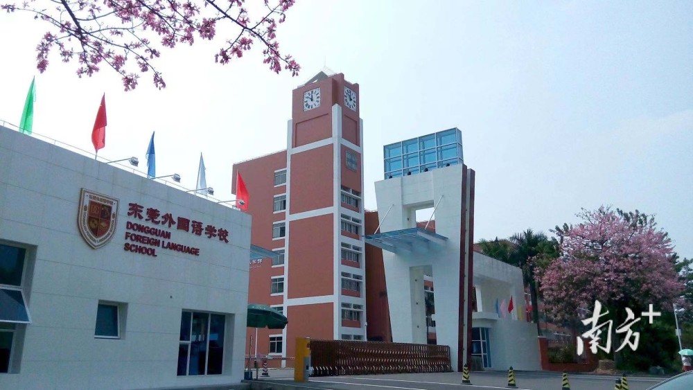 东莞外国语学校报名资格审核工作延期后续通知关注学校发布