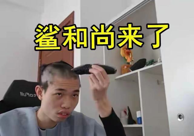 鲨鱼大胆示爱抛弃夏啵迪宝移情别恋直言我就喜欢