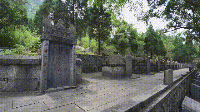 韦秉琚|黄美伦|革命|韦拔群|拔哥|东兰县