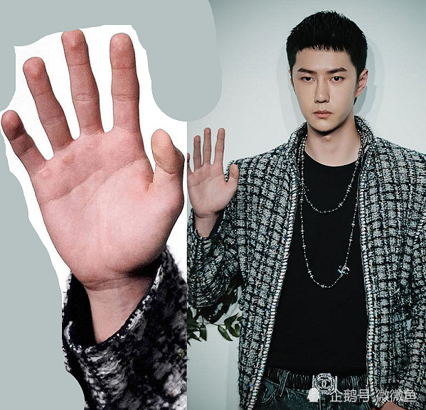 王一博的手掌心有故事粉丝突然明白陈情令就开始了