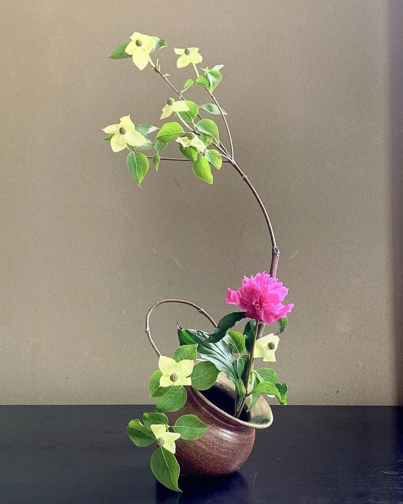 花艺 插花 花道 傻傻分不清楚 腾讯新闻