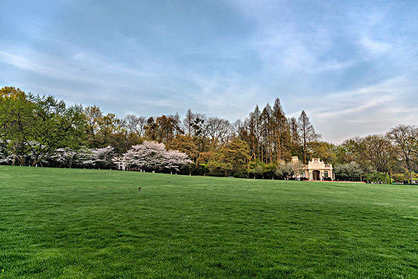 (不完全名录)◆◇◆杭州公共文化生活最in大草坪◆◇◆去撒谎,去蹦跶