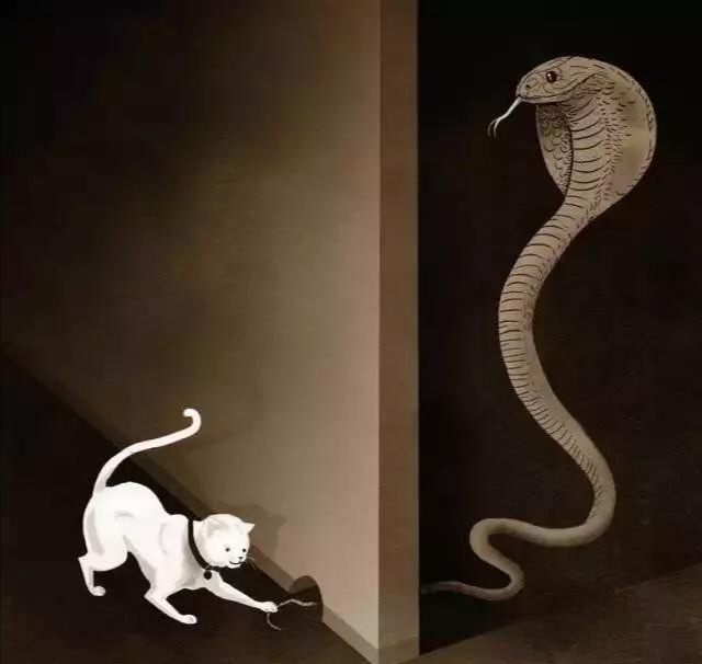 是假清高还是真强大