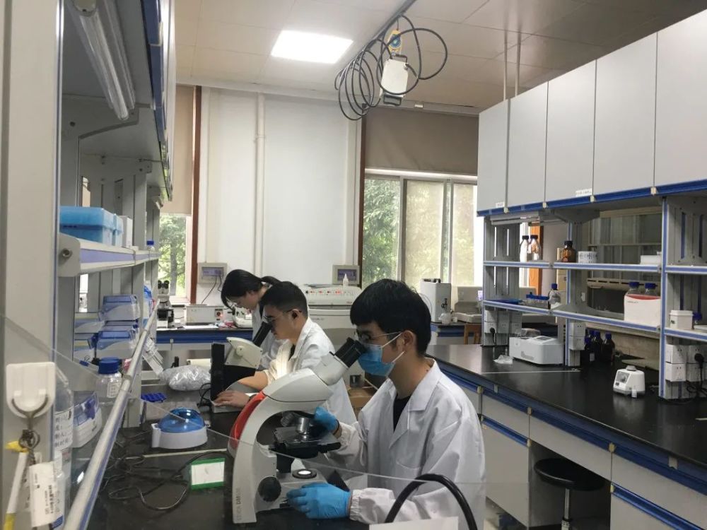 生物技术专业学生在实验室做实验