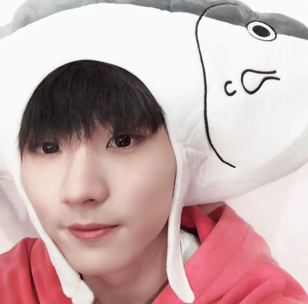 tnt头像,期待相遇 不负遇见