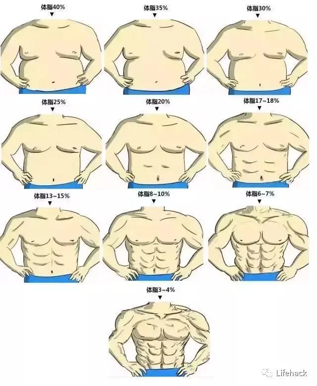 下面是男生体脂率和身材对照表,请大家对号入座:而男生想要看见六块