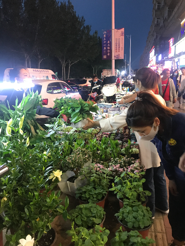 黑大夜市成多所高校毕业生的"青春记忆"_腾讯新闻