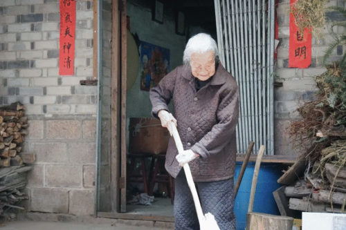 温州|热搜榜|金钗妹|陈岩蕊|戴婷婷