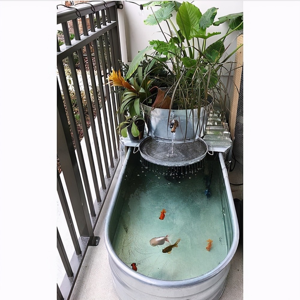 想要養魚又養花想要養魚少換水來看看沼澤過濾吧