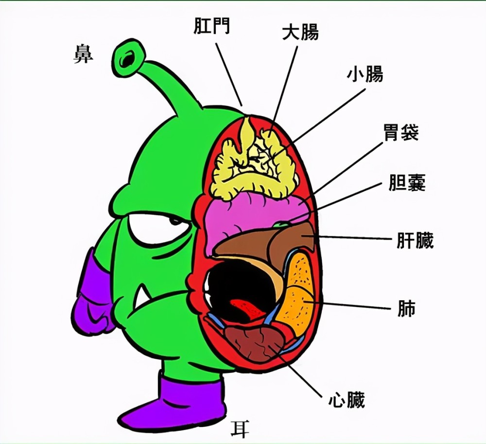 還記得阿拉蕾中的尼可真大王嗎最後他終於回到了自己的母星