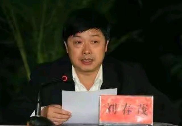 商洛市政府办公室副主任,商洛市政府副秘书长,柞水县委副书记,商南县