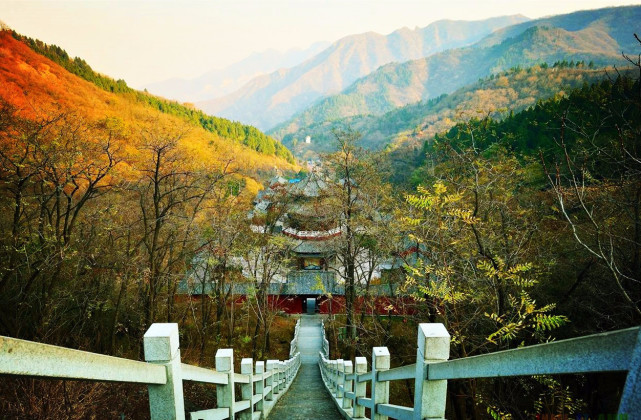 山東一座是國家級森林公園的山,山勢陡峭,谷壑幽深