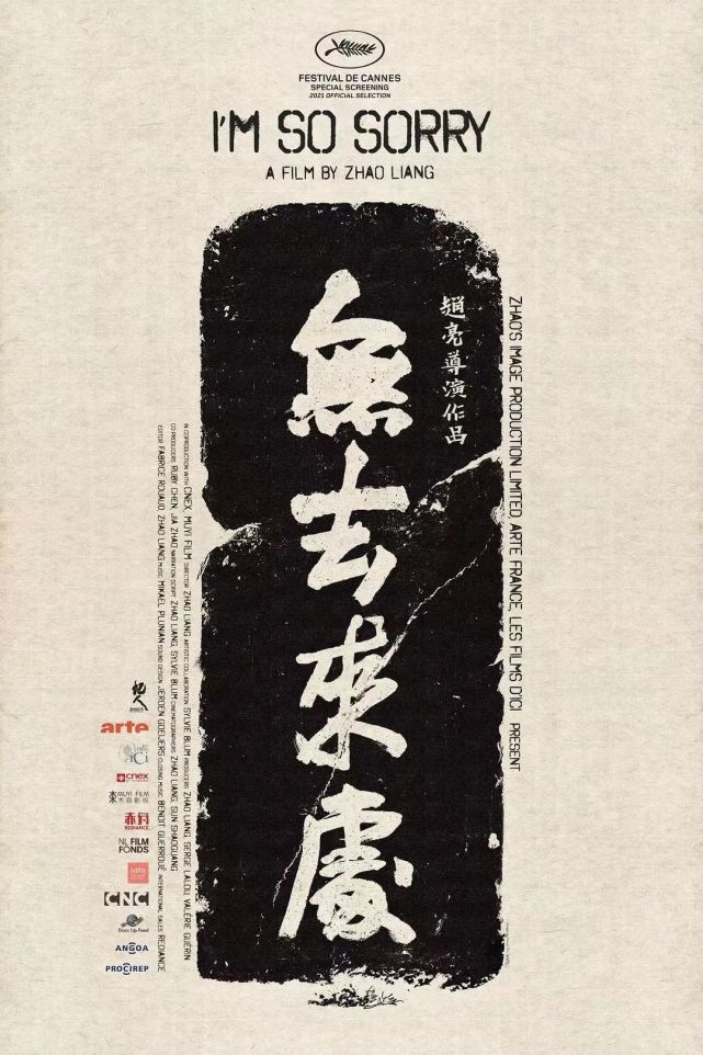 《少年*小赵》《对看》《大路朝天》《大同》《塑料王国》等影片,或是