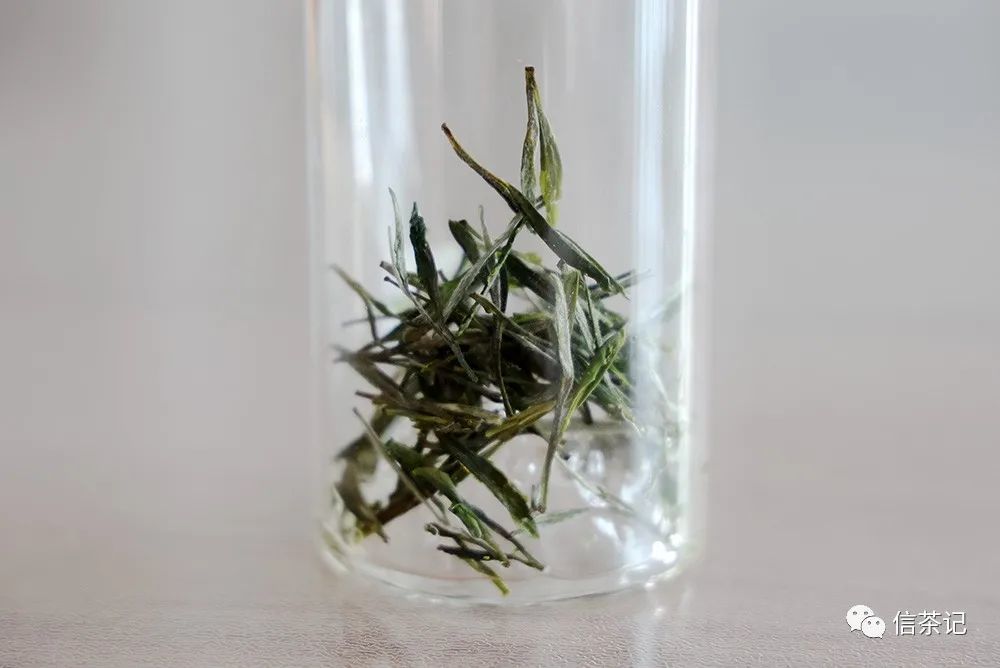 信茶记丨周末,再饮金刚碧绿