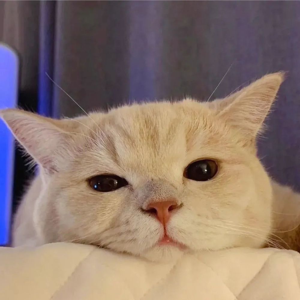 情头 情侣头像|小情话:陪你看日落的人,比日落浪漫