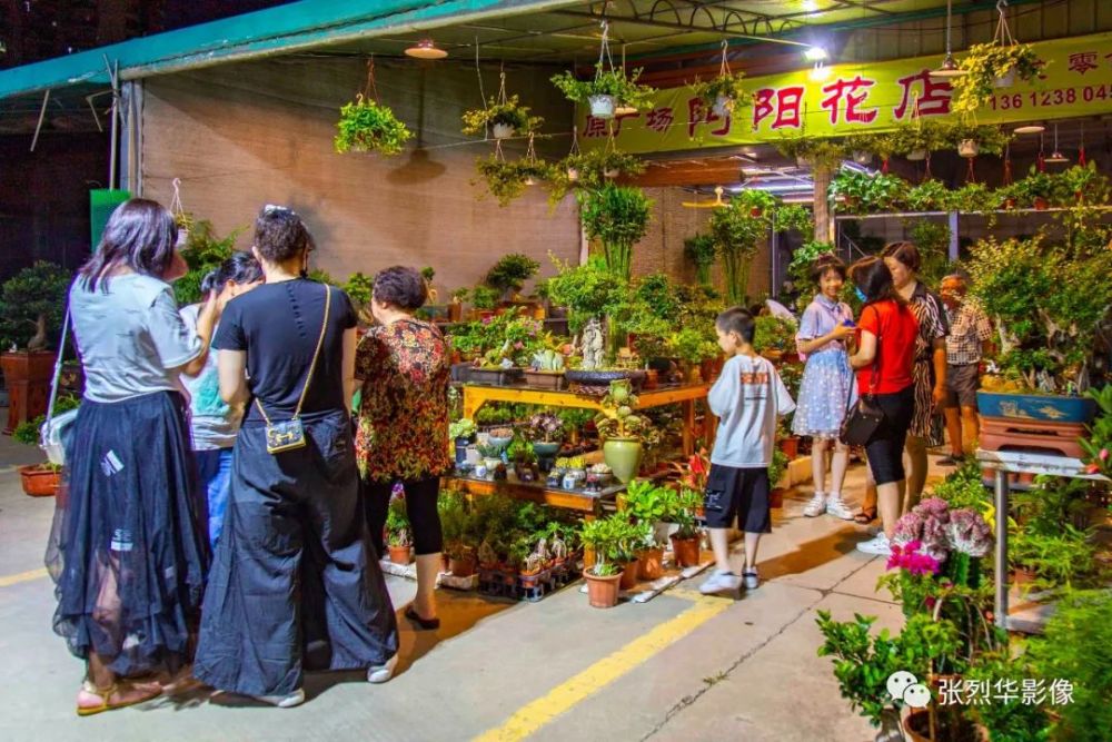 夏夜海滨路灯光花市百花娇艳迎来买花人 腾讯新闻
