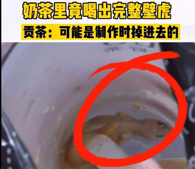 福州奶茶排行_太恶心!福州一知名奶茶店喝出整只壁虎!