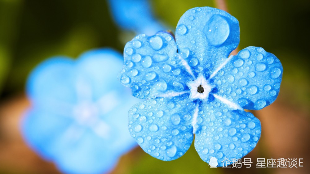 6月21日星座运势 趁热打铁 所向披靡的四大星座 腾讯新闻