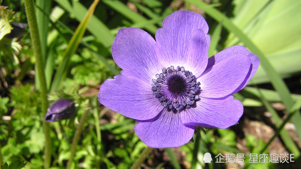 6月21日 27日星座运势 巨蟹迎接挑战 天秤思虑周全 双鱼目光长远 腾讯新闻