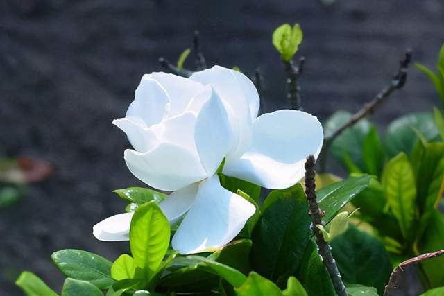 父亲节 好想让天国的父亲生命重新来过 腾讯新闻