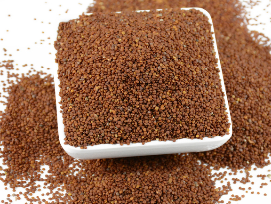 俗称"冰粉籽",做手搓凉粉是一绝,20年前很多人采摘,如今少见_腾讯新闻